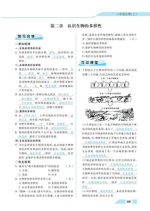 多种语言
