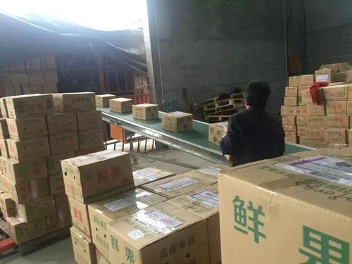 喜欢正义的公民