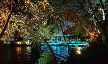 母亲，是一道靓丽的风景线