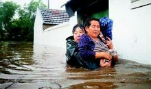 三春晖里的微感动