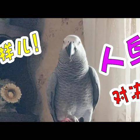 看我们的课