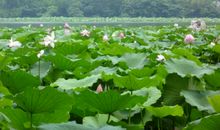 远处的那一抹光