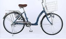 我家的老式自行车