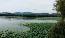 我眼中的颐和园