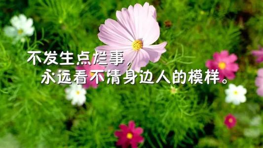 美好的一天