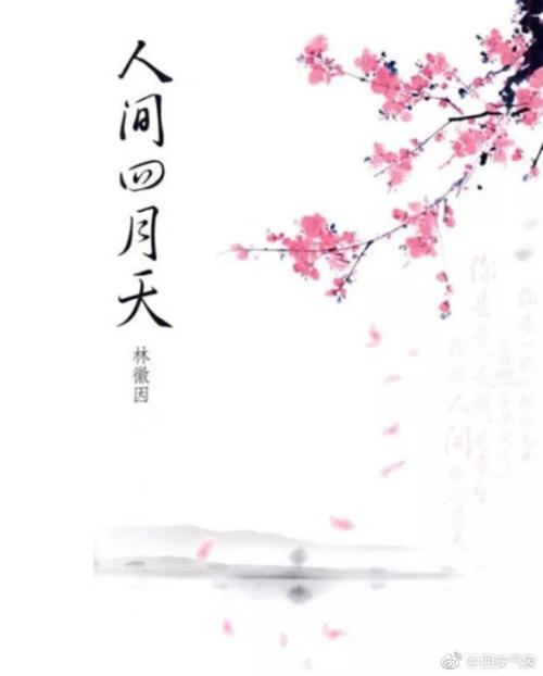 比雨最美