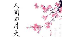 最美莫过雨纷纷