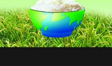 我懂得了节约粮食