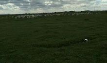 尝试让我更开阔