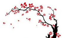 那一刻的梅花真美丽