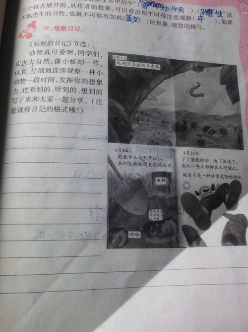 observation观察日记