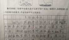 美丽的春天100字