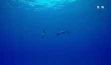 童年的那片星空