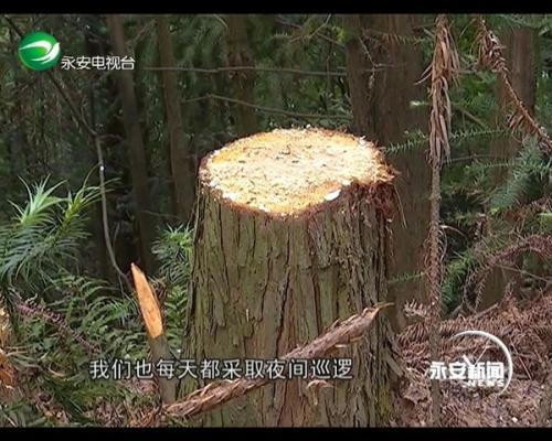 强盗和游侠