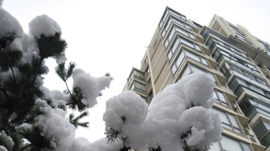 新年瑞雪
