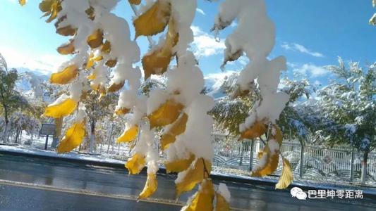 雪在我身上留下的美丽印象