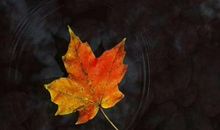 生活因善良而精彩