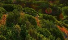 人生有时需要搏一搏