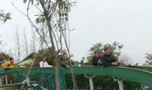 外公家的田园生活