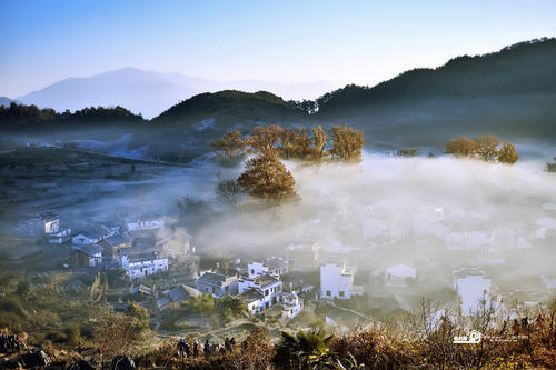 煮烟