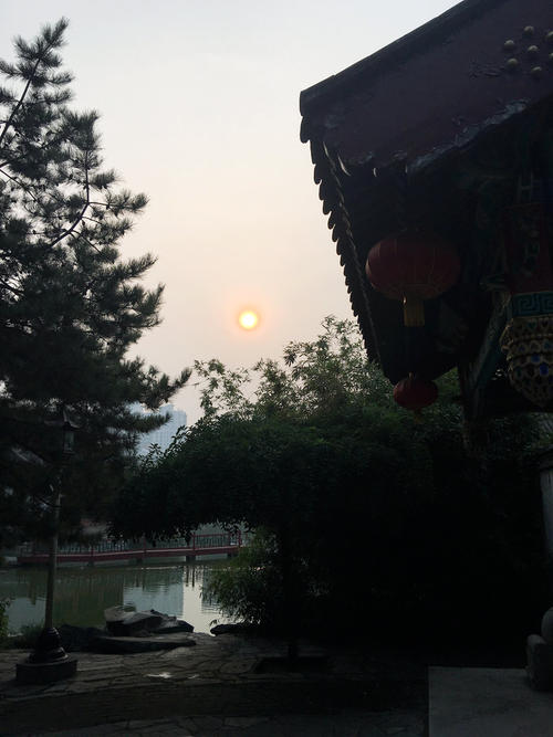 大观园的岁月