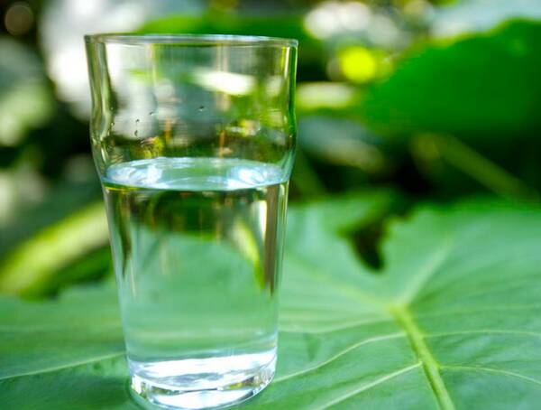 水有多重要
