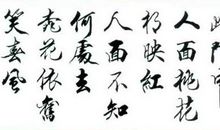 读《题都城南庄》有感