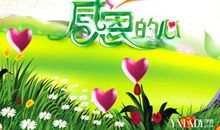 感谢老师的教导