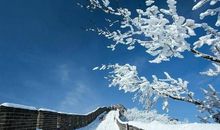 最美莫过雪飘时