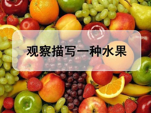 写一个水果组成