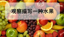 写一种水果的作文