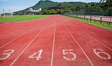 阳光校园我们是好伙伴作文