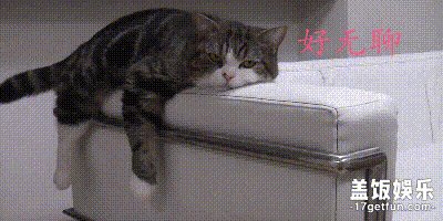 一个人在家很无聊