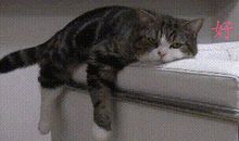 一个人在家好无聊