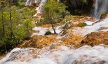 一场美丽的告别