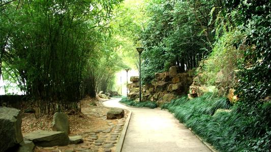我爱秀山公园