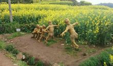 每个人心中的一亩田