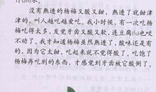 写杨梅的作文