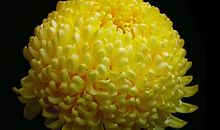 照亮角落里的生命