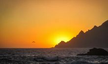 一粒麦子的自述