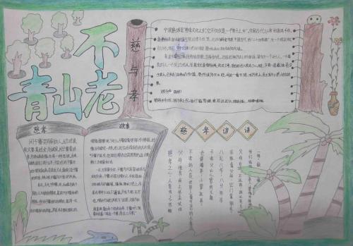 第三年我的梦想
