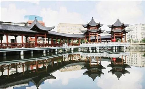 市场上的“蒂姆”