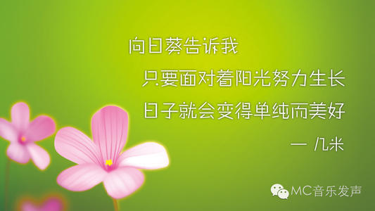 记住我心中的岁月