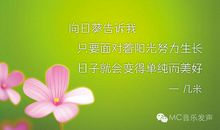 铭记心底的岁月年华