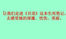 关于目送的作文