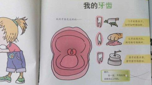 永不丢失的牙齿
