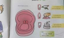 一直不掉的牙齿