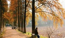 你让我如此眷恋