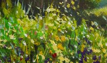 夏天的多姿多彩