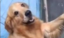 见到“老朋友”